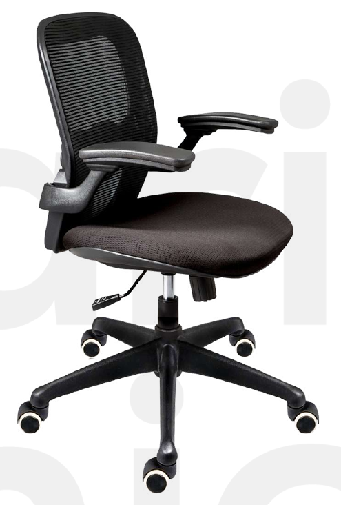Ibiza ejecutivo ROC
