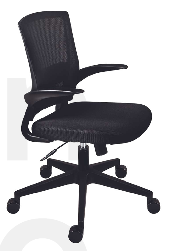 Burgos ejecutiva